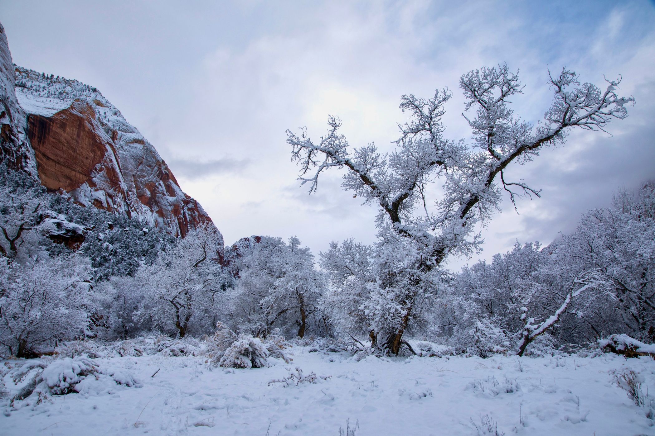 Zion Canyon, USA
