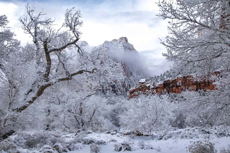 Zion Canyon