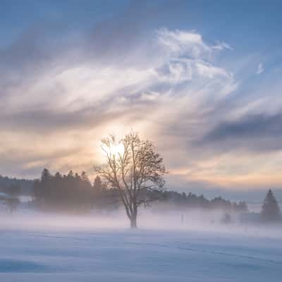 ... and the cold fog is getting closer, Switzerland