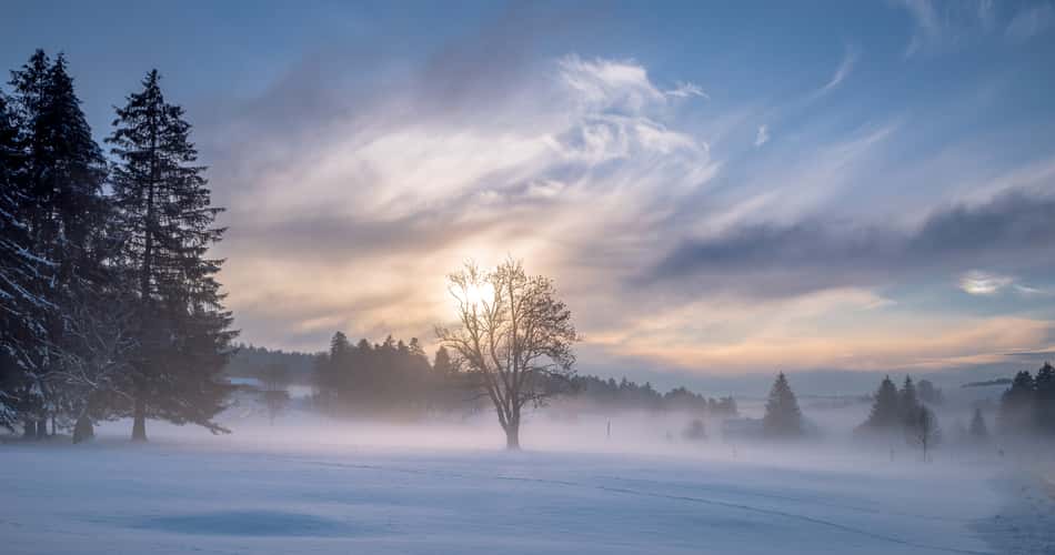 ... and the cold fog is getting closer