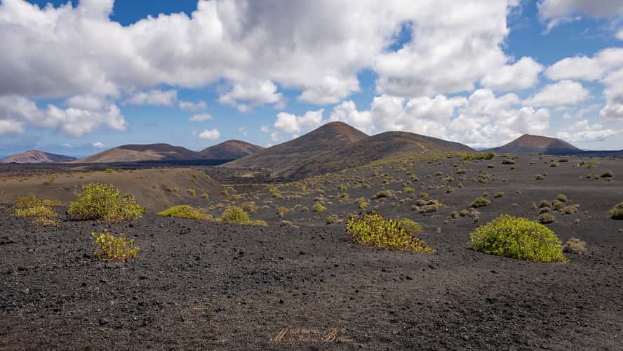 At Volcán Santa Catalina