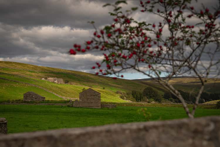 Barns at River Swale