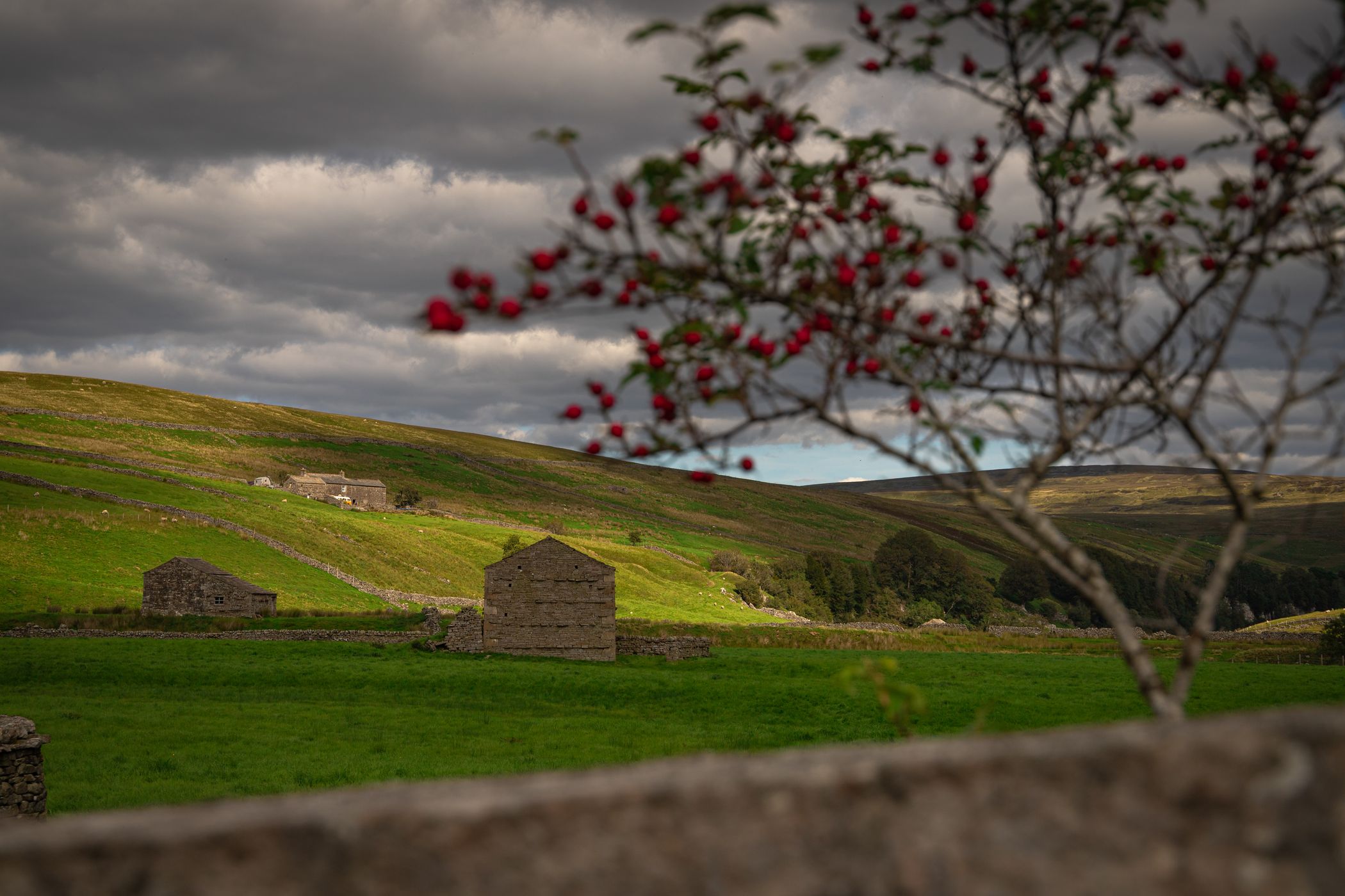 Barns at River Swale, United Kingdom