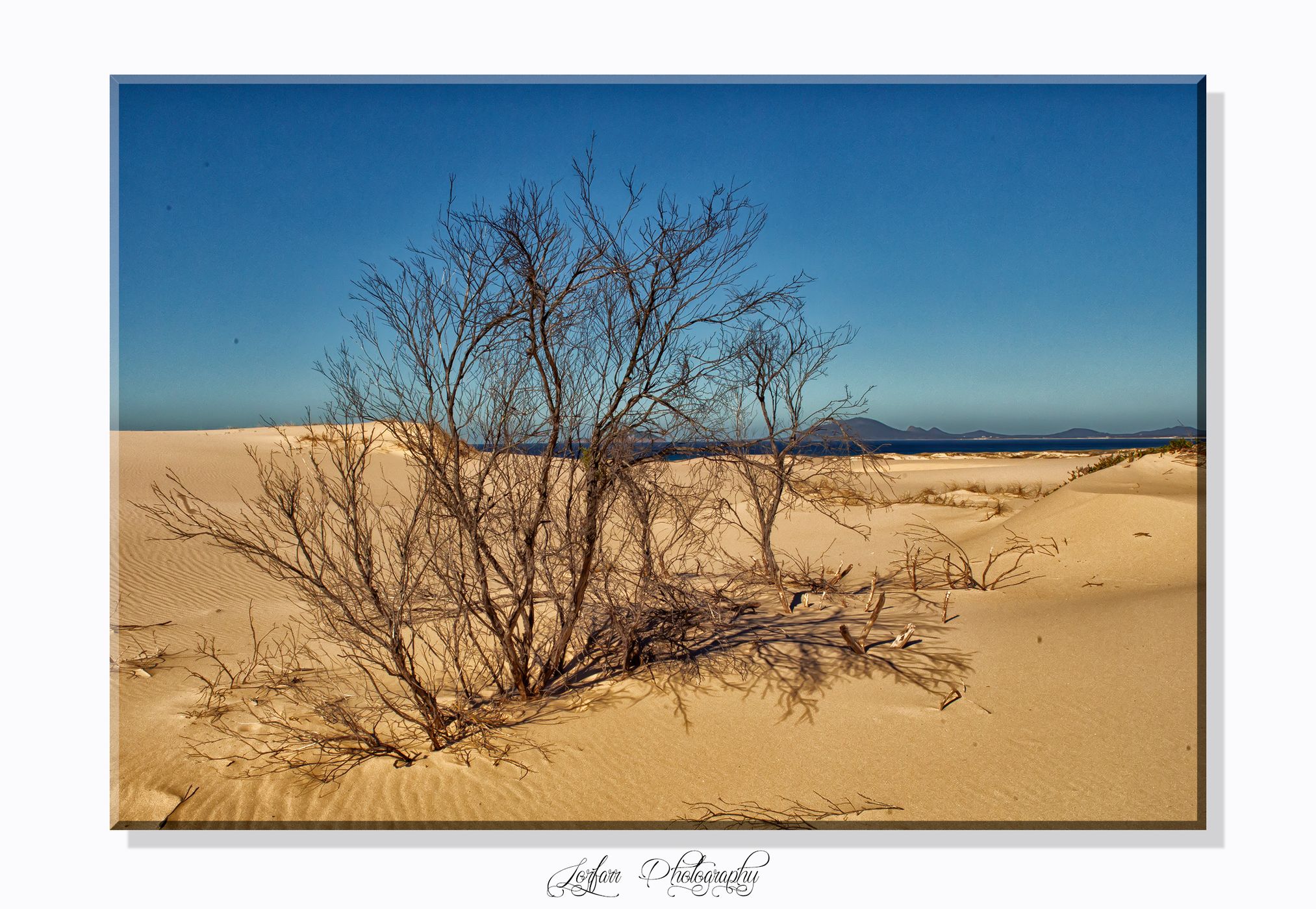 Birubi Dunes, Australia