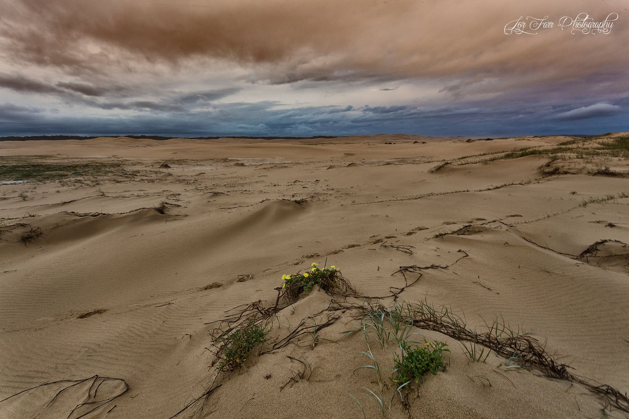 Birubi Dunes, Australia