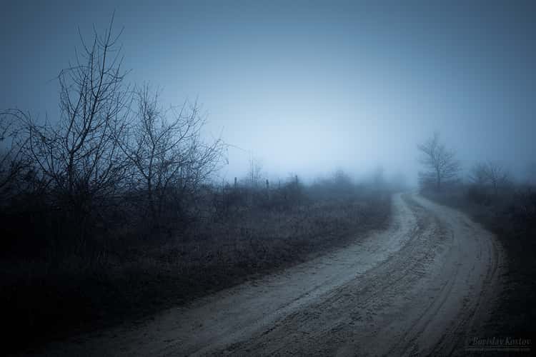 By the road