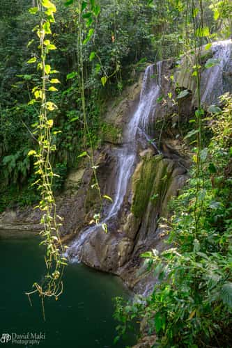 Cascada Gozalandia