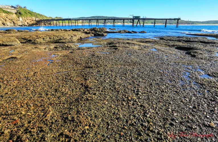 Catherine Hill Bay jetty sunrise New South Wales