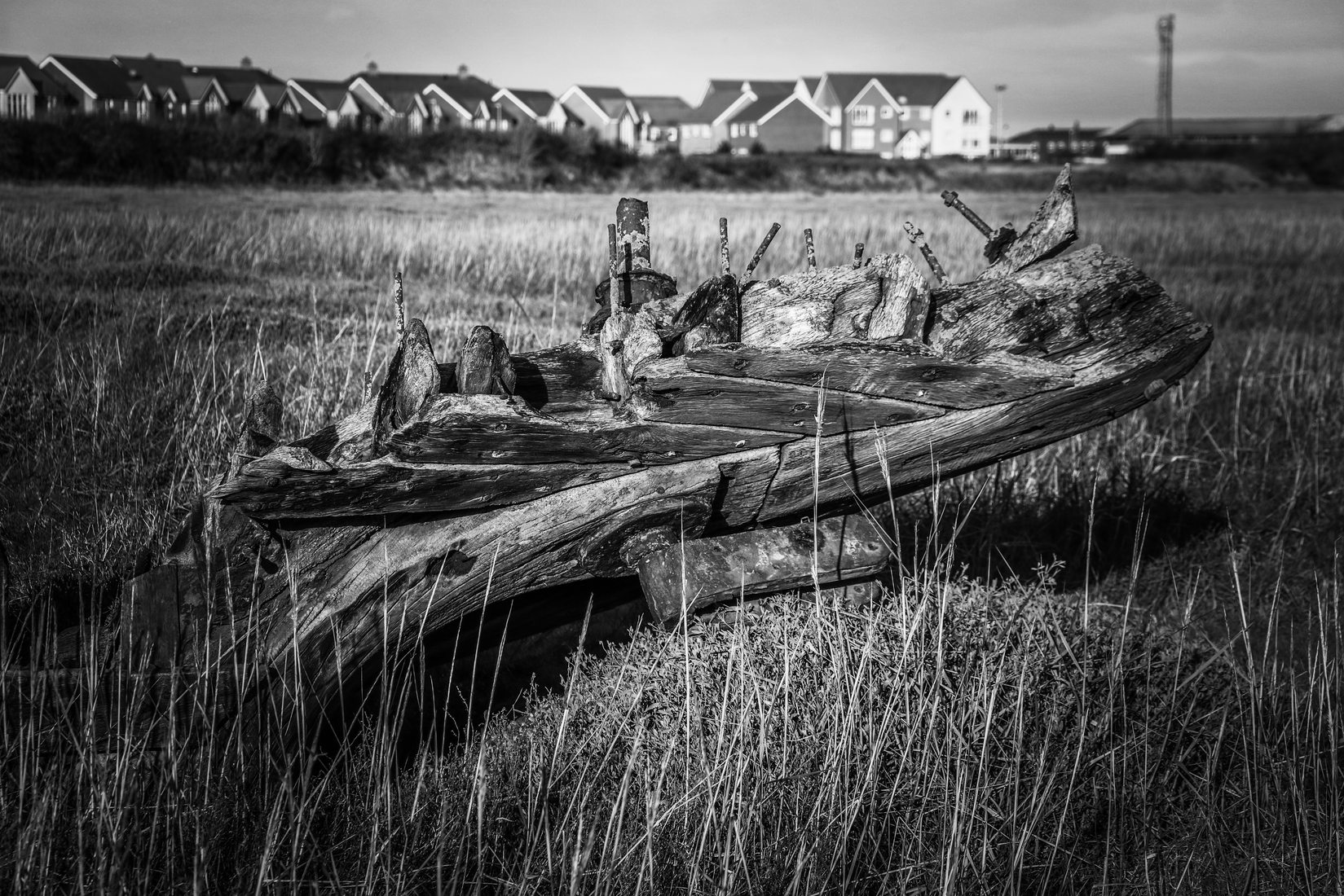 fleetwood marsh nature reserve, United Kingdom