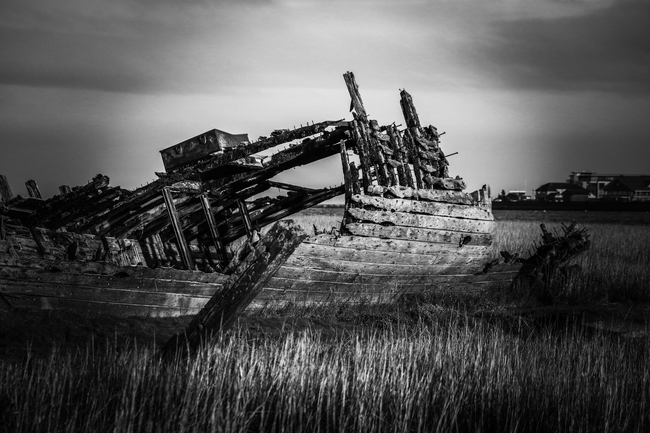 fleetwood marsh nature reserve, United Kingdom