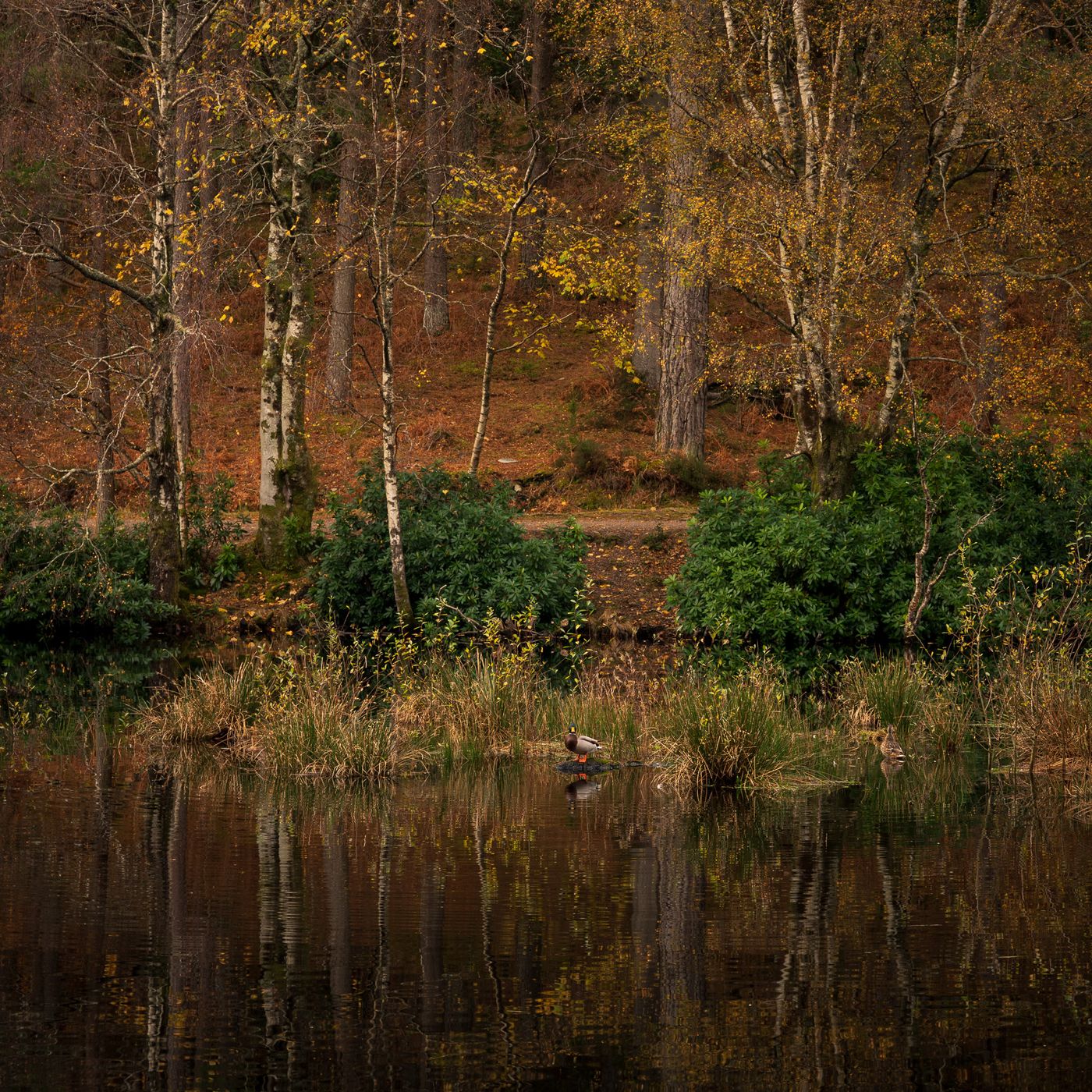 Glencoe Lochan, United Kingdom