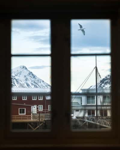 Hattvika Lodge, Lofoten