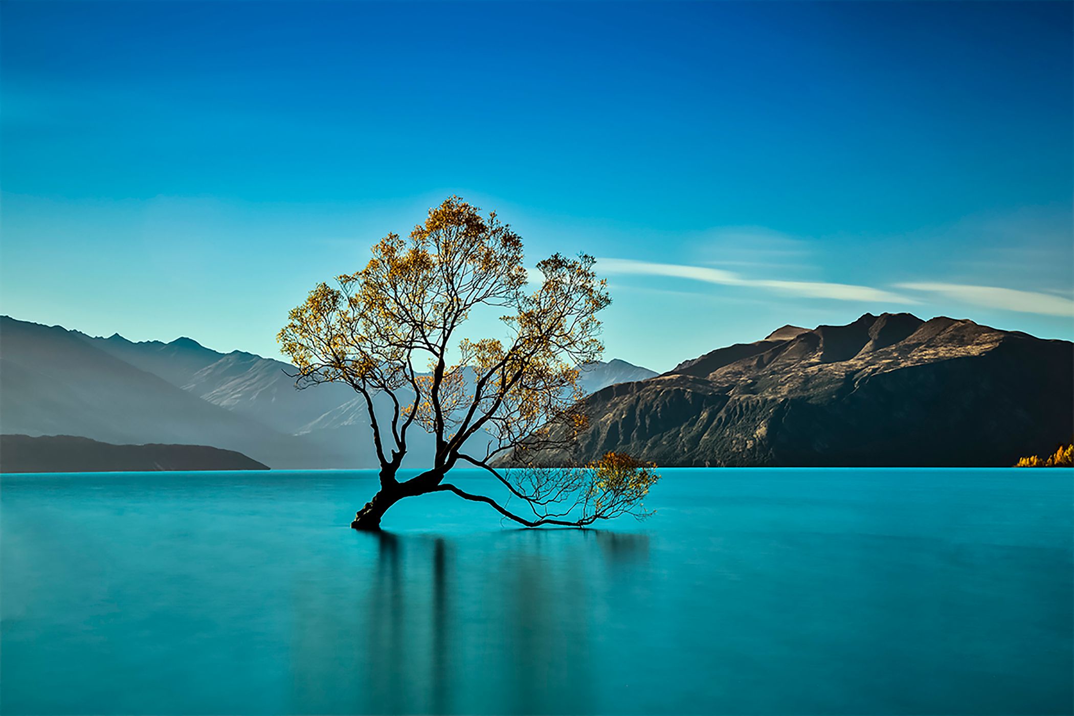 Lake Wanaka - The lonely Tree, New Zealand
