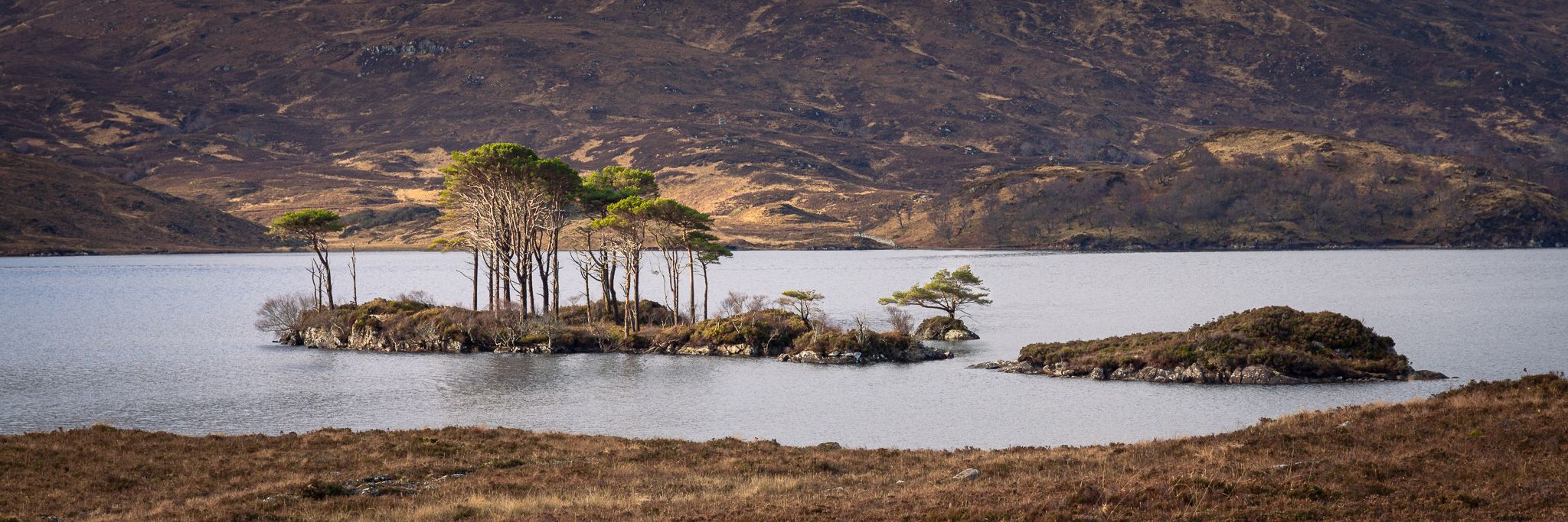 Mid Loch Assynt Layby and Islands, United Kingdom