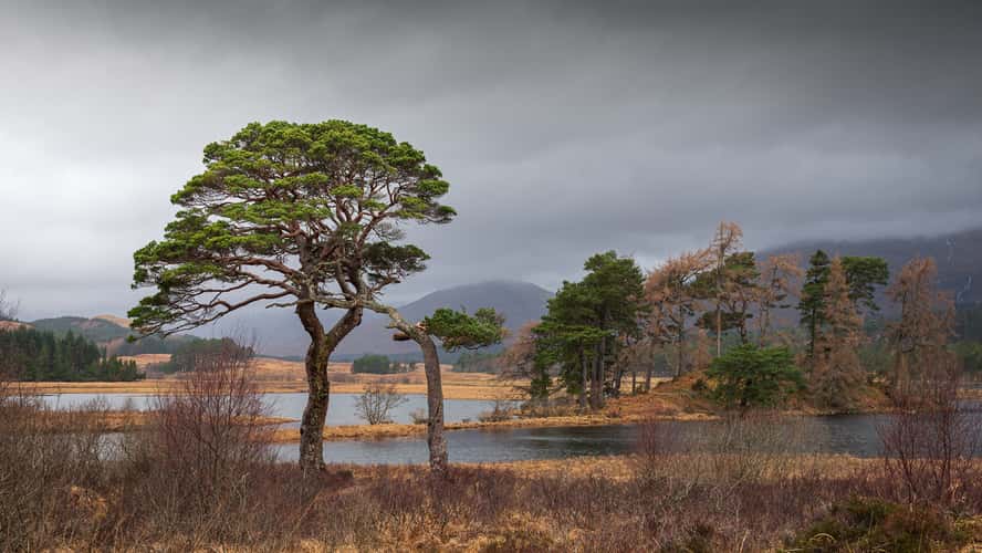 Loch Tulla