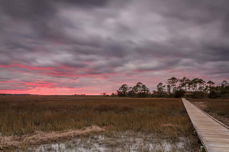 Marsh boardwalk, Hunting Island State Park