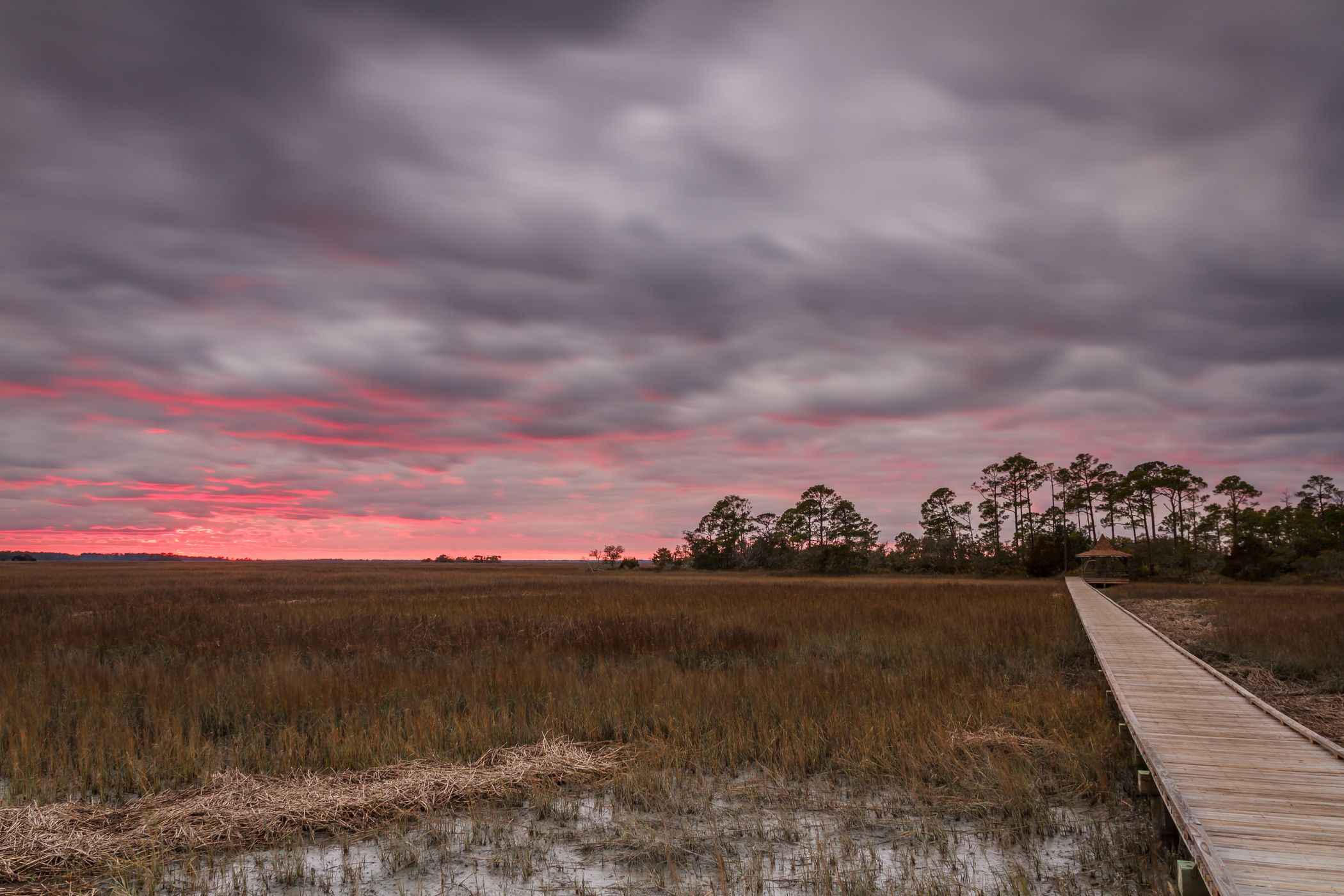 Marsh boardwalk, Hunting Island State Park, USA