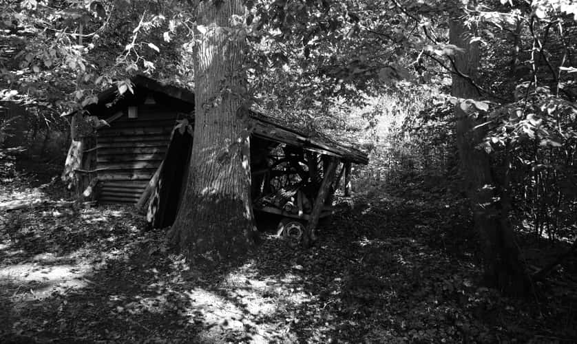 Old Cabin