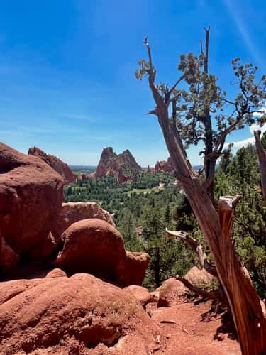 Palmer Trail