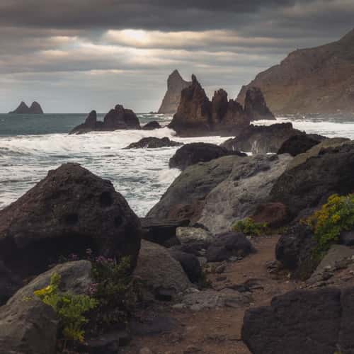 Playa de Benijo, Tenerife