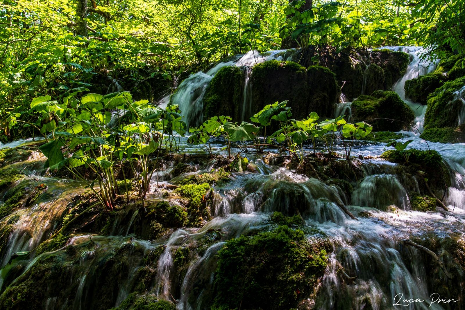 Plitvice National Park, Croatia