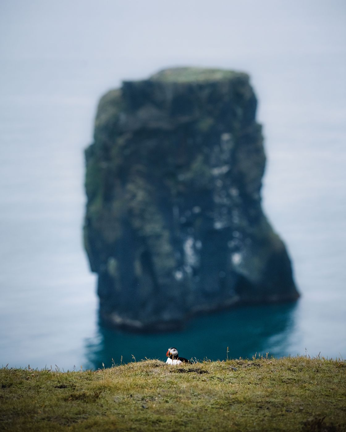 Sea Stacks, Dyrhólaey, Iceland