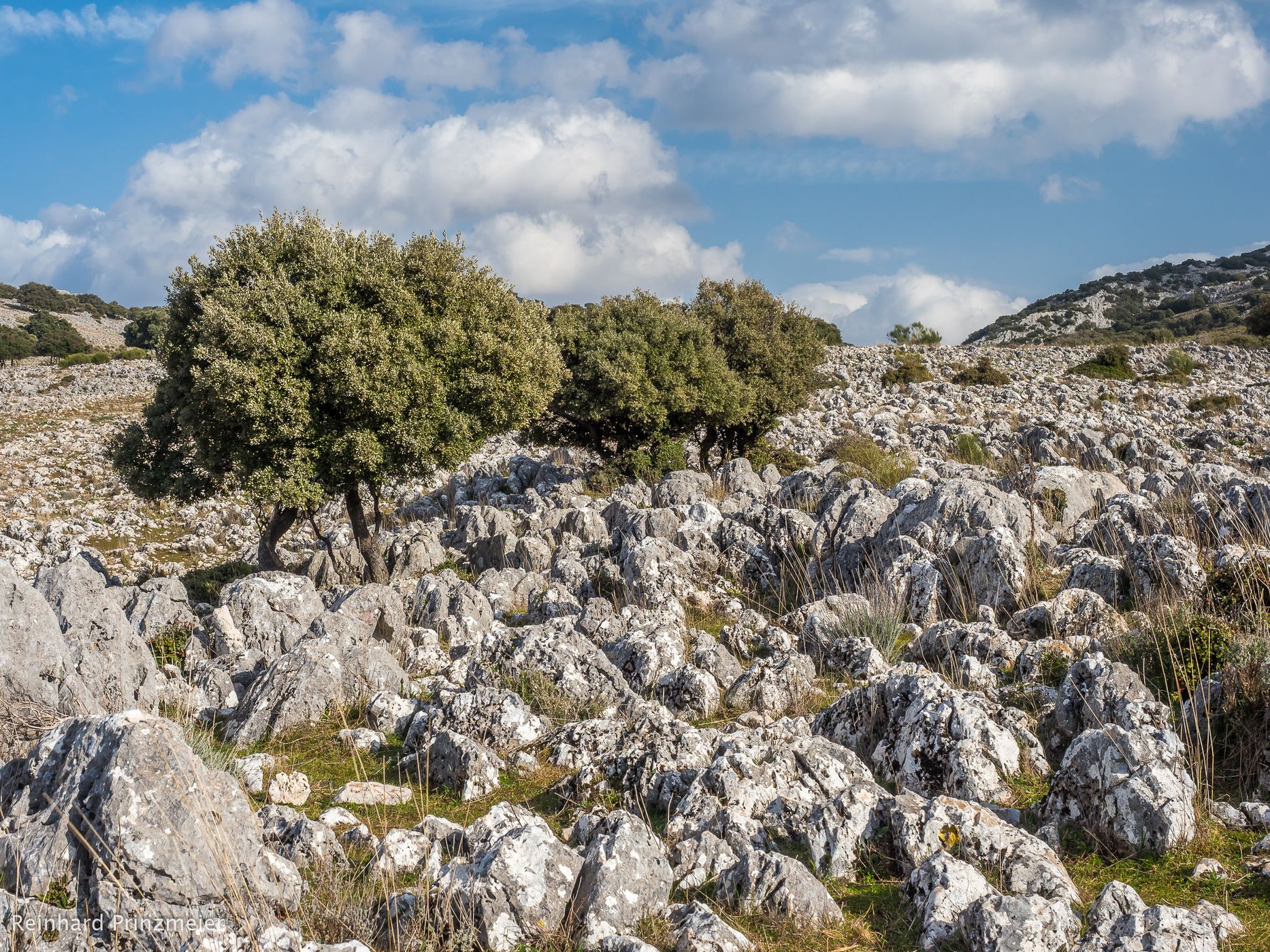 Sierras Subbéticas near Zuheros, Spain