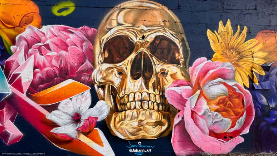 Street art in Miami Wynwood