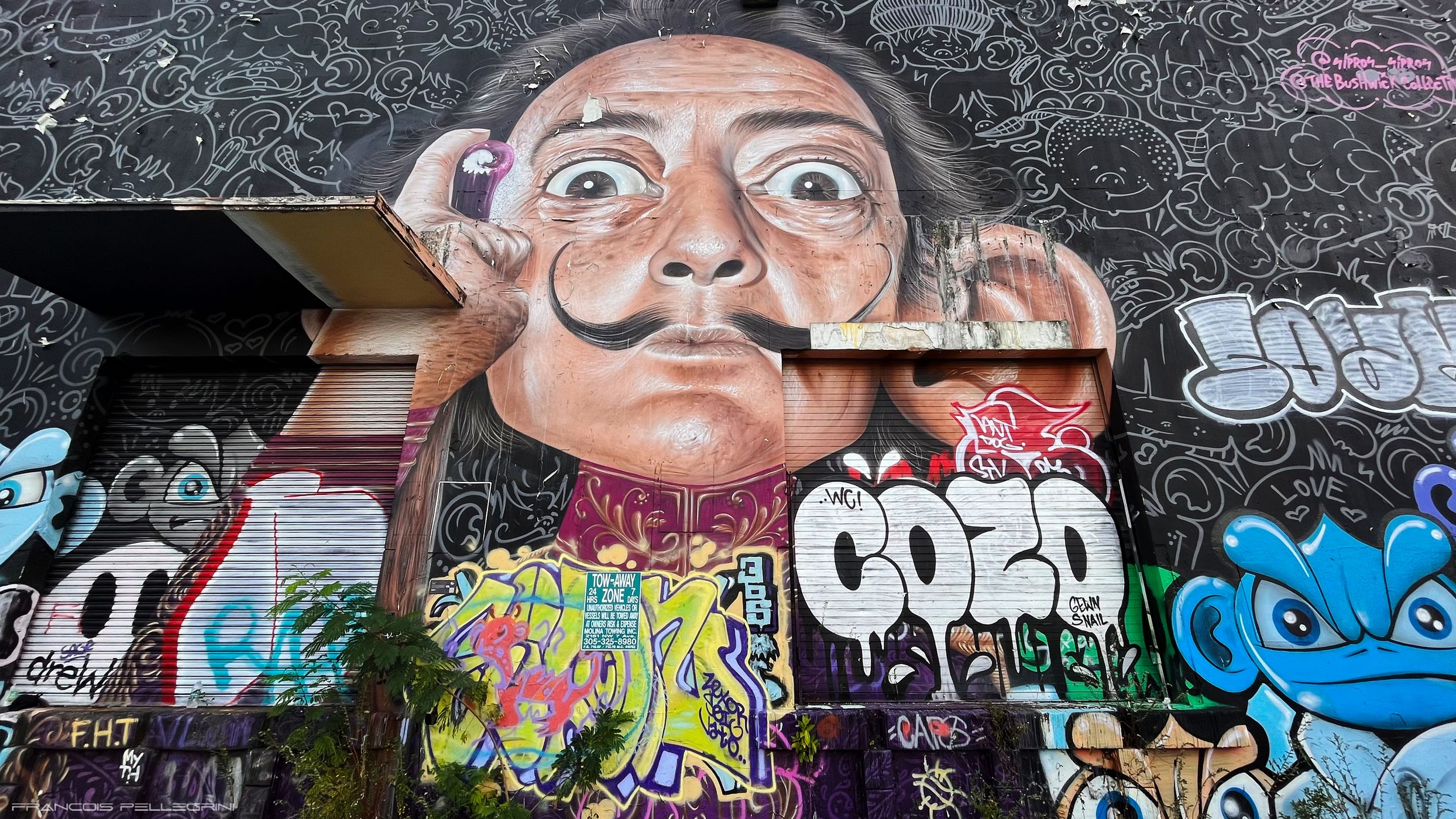 Street art in Miami Wynwood, USA