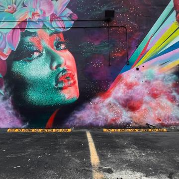 Street art in Miami Wynwood, USA