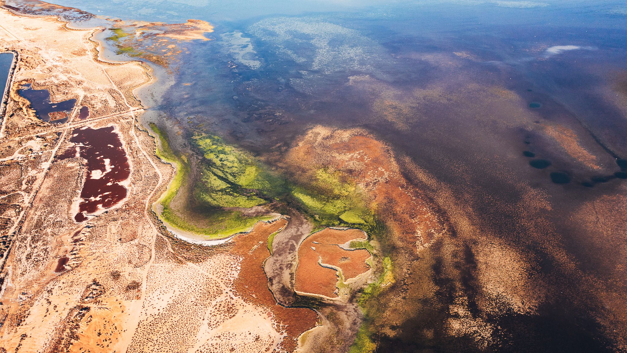 Surreal Landscape, Djerba, Tunisia