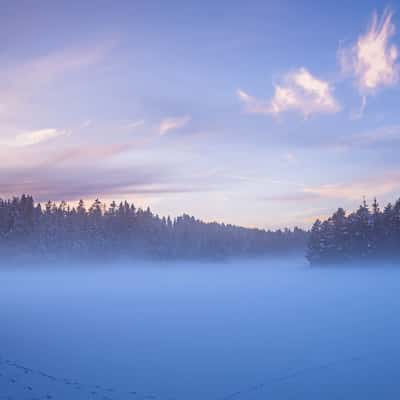 The fog and the frost come silently, Switzerland