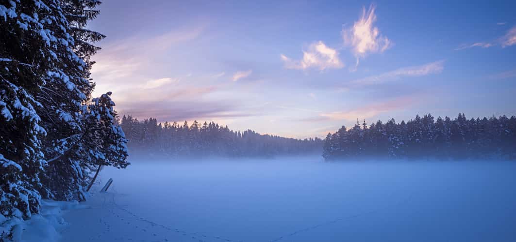 The fog and the frost come silently