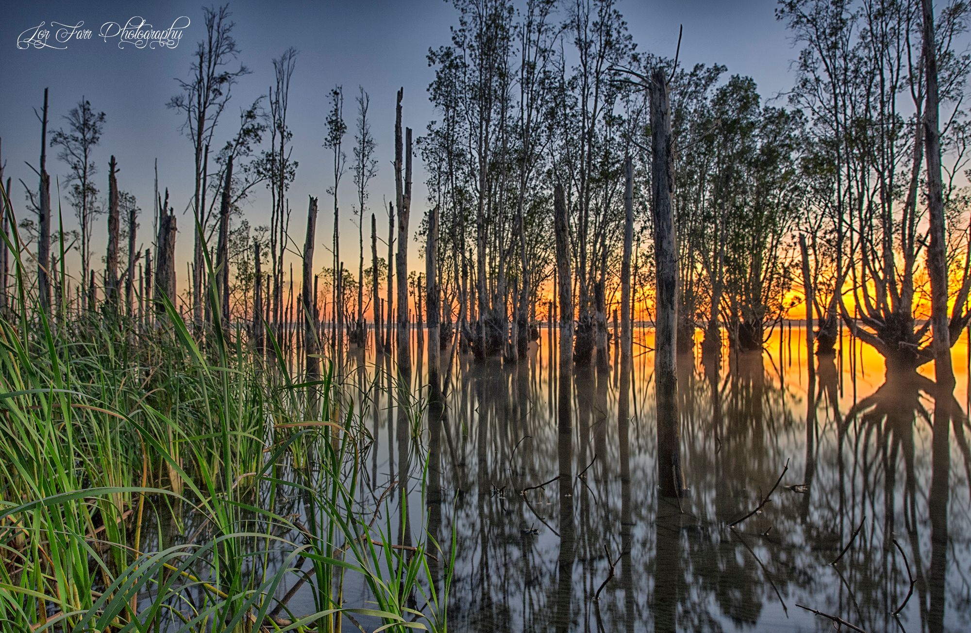 Timbers, Australia