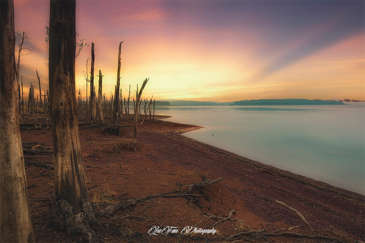 Timbers, Australia
