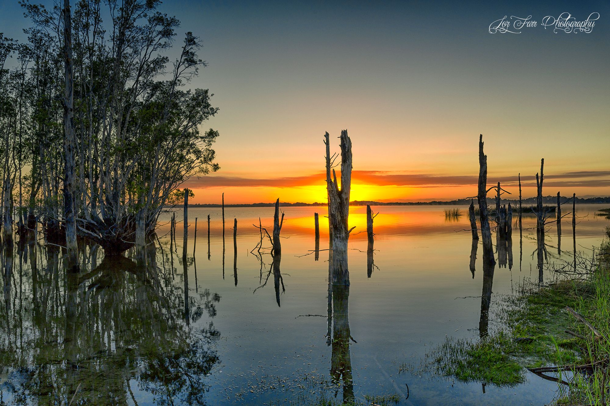Timbers, Australia