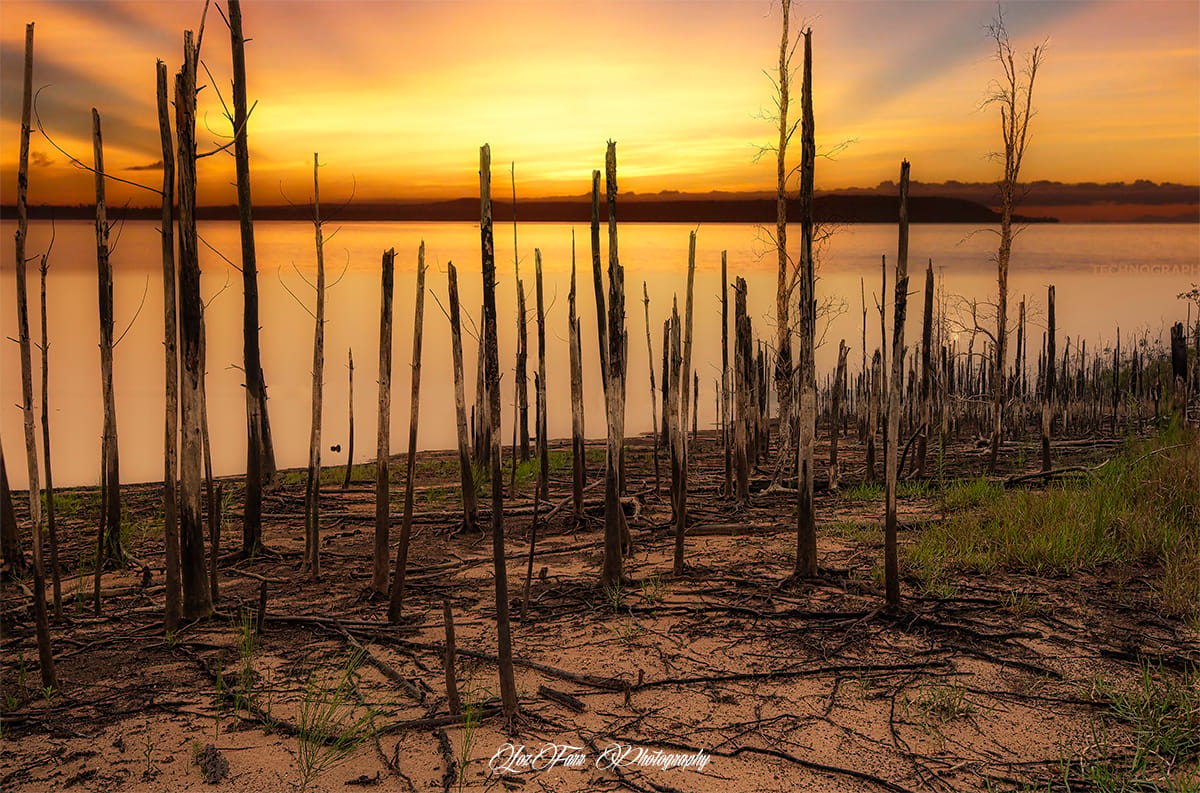 Timbers, Australia