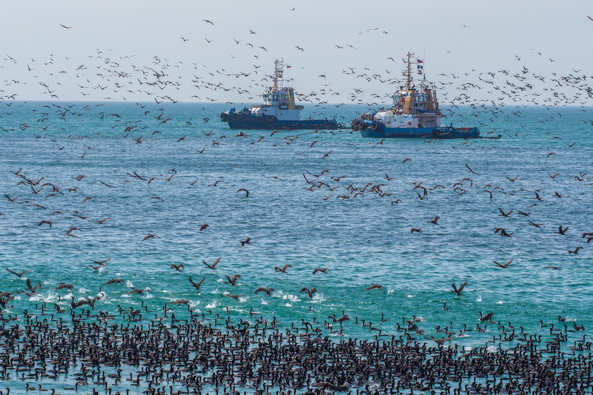 Bay at Huasco, Chile