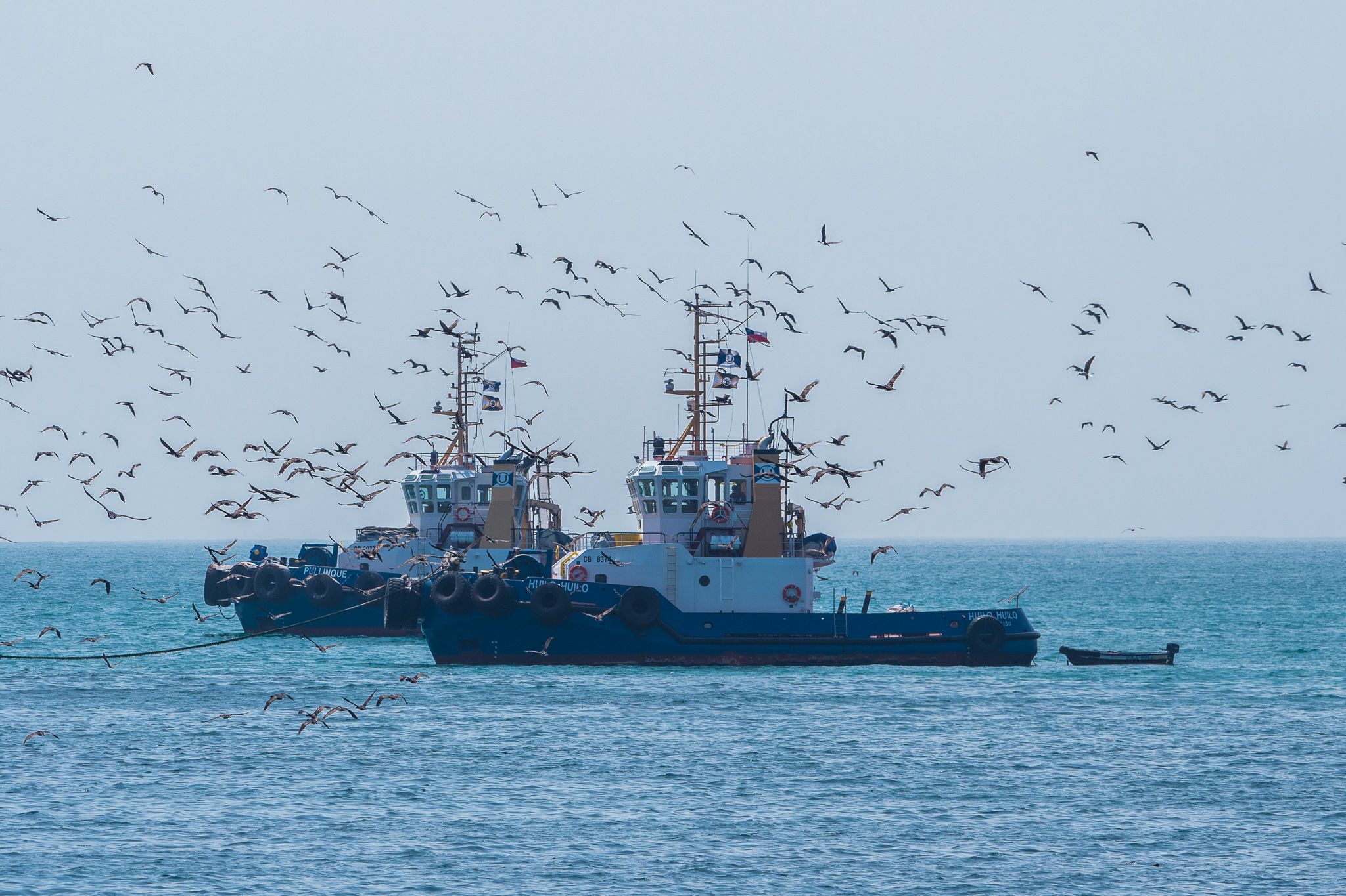 Bay at Huasco, Chile