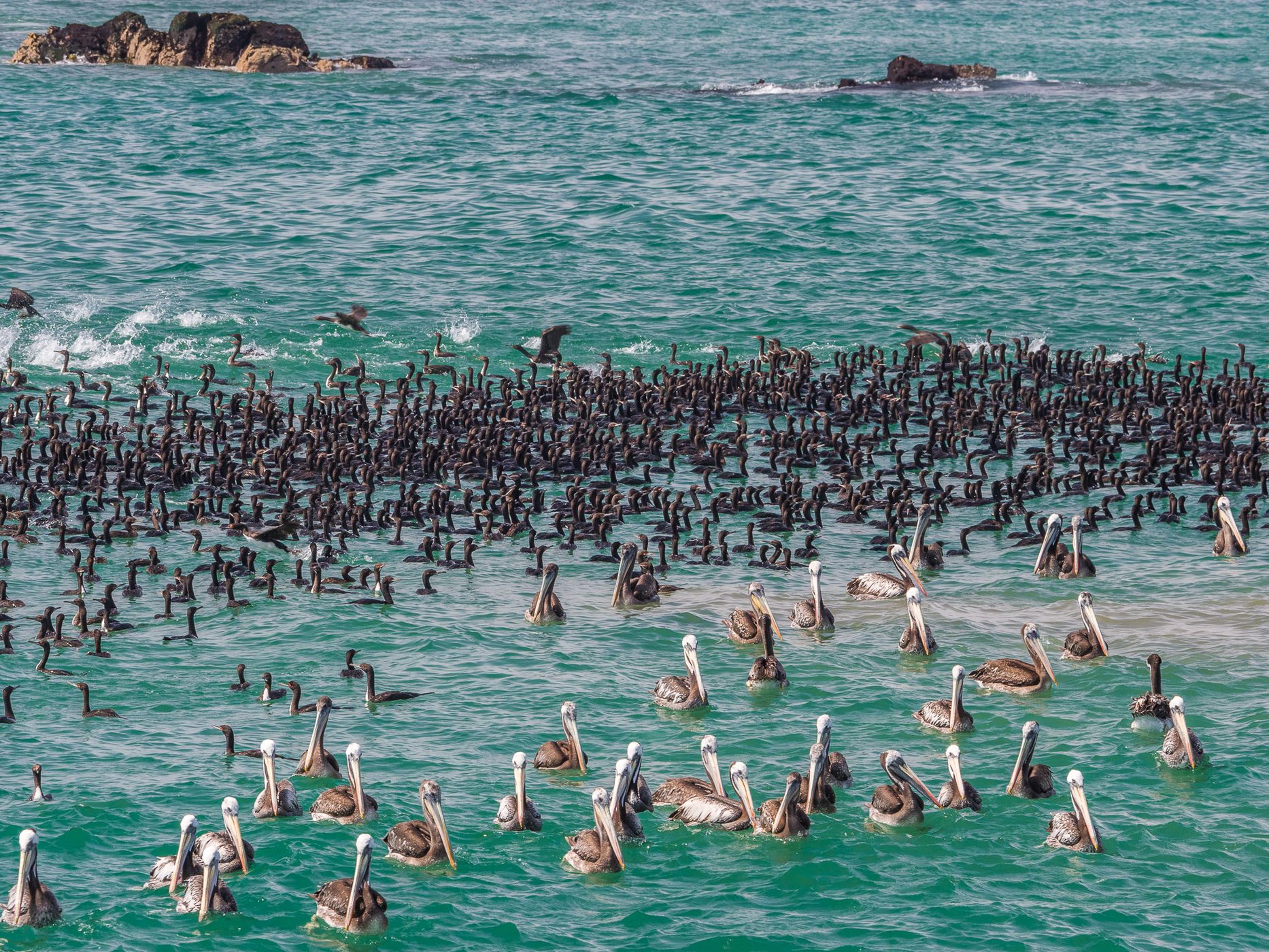 Bay at Huasco, Chile
