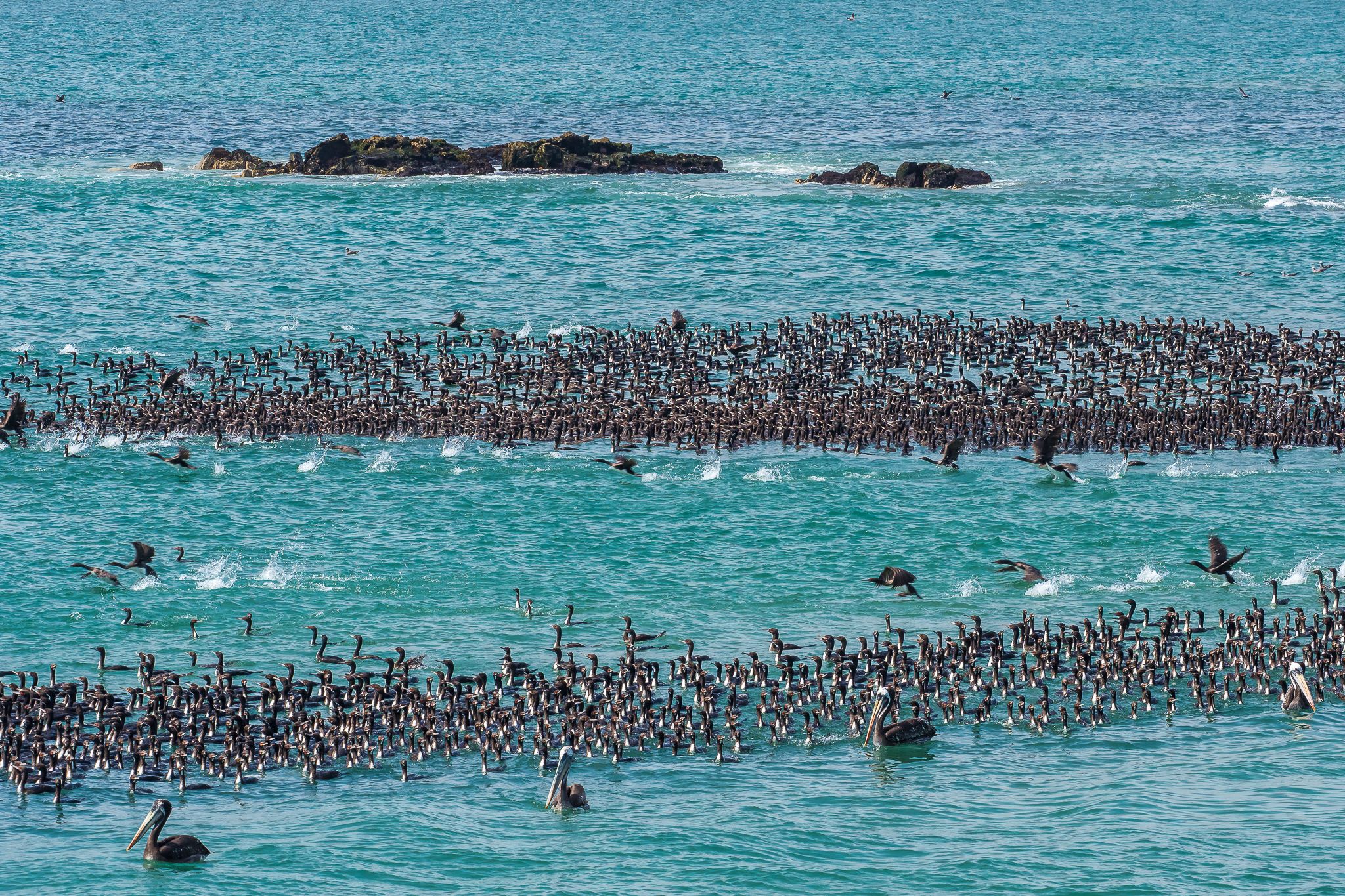 Bay at Huasco, Chile