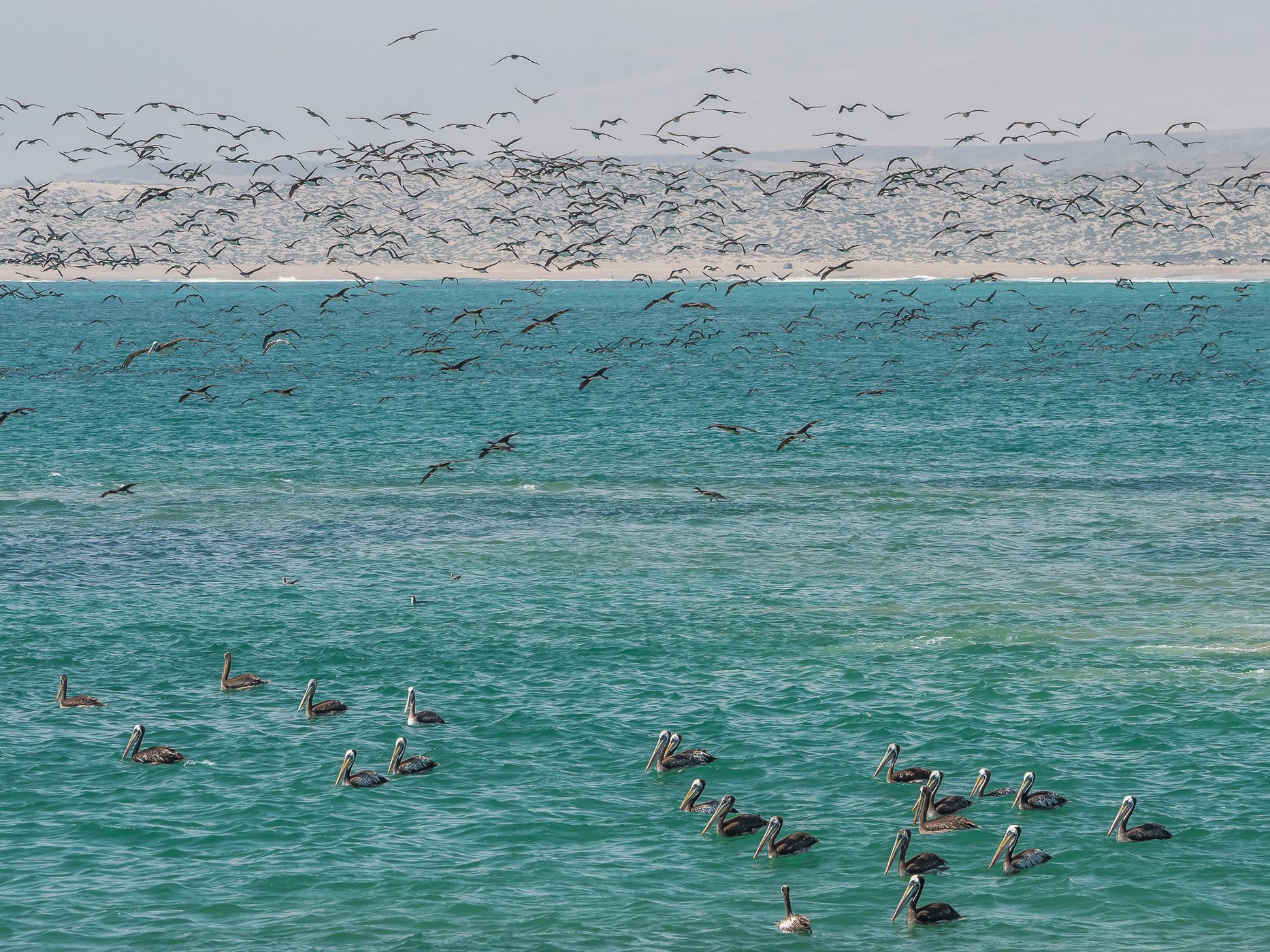 Bay at Huasco, Chile
