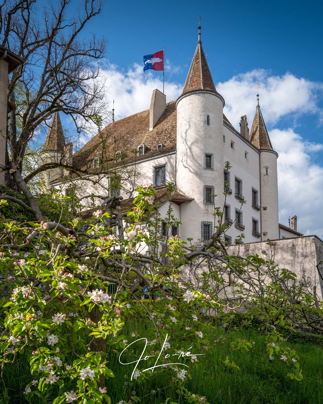 Château (Castle) de Nyon, Switzerland, Switzerland