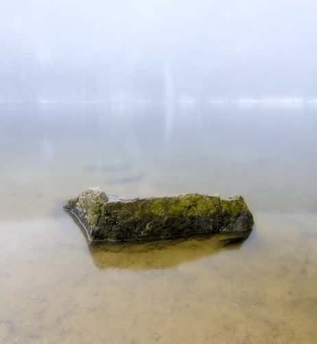 Feldsee, Black Forest