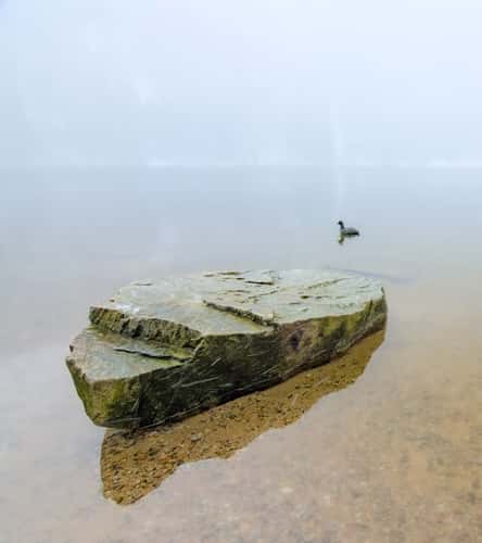 Feldsee, Black Forest