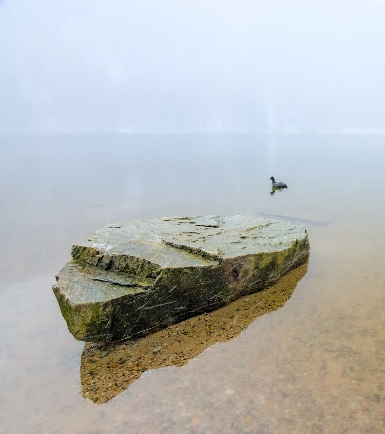 Feldsee, Black Forest, Germany