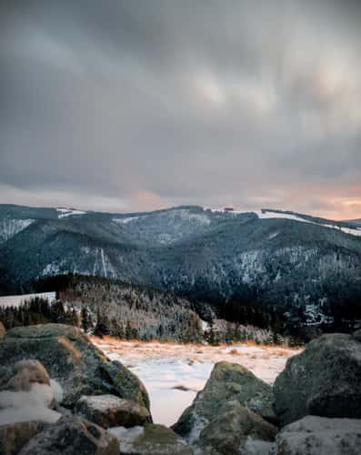 Hinterwaldkopf, Black Forest