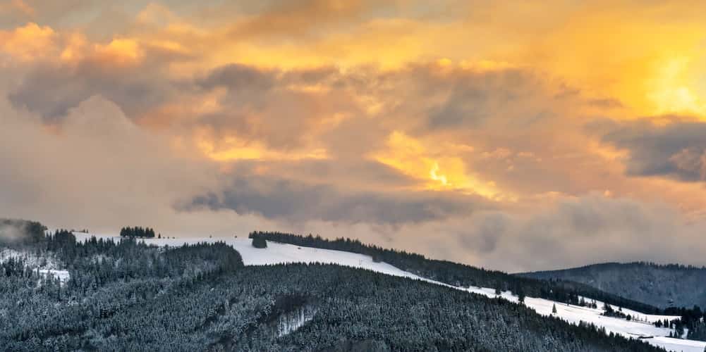 Hinterwaldkopf, Black Forest