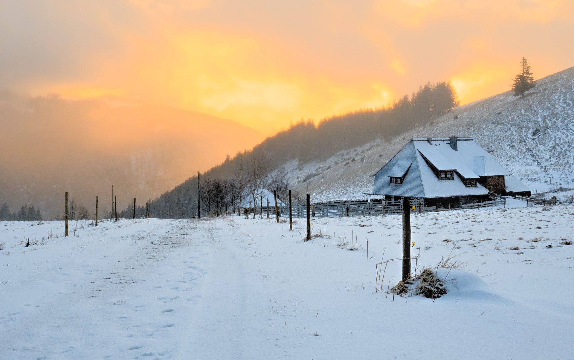 Hinterwaldkopf, Black Forest, Germany