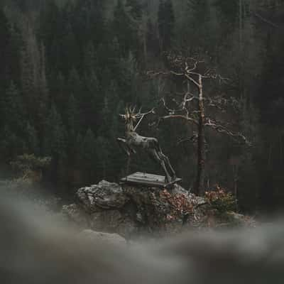 Hirschsprung im Höllental, Germany